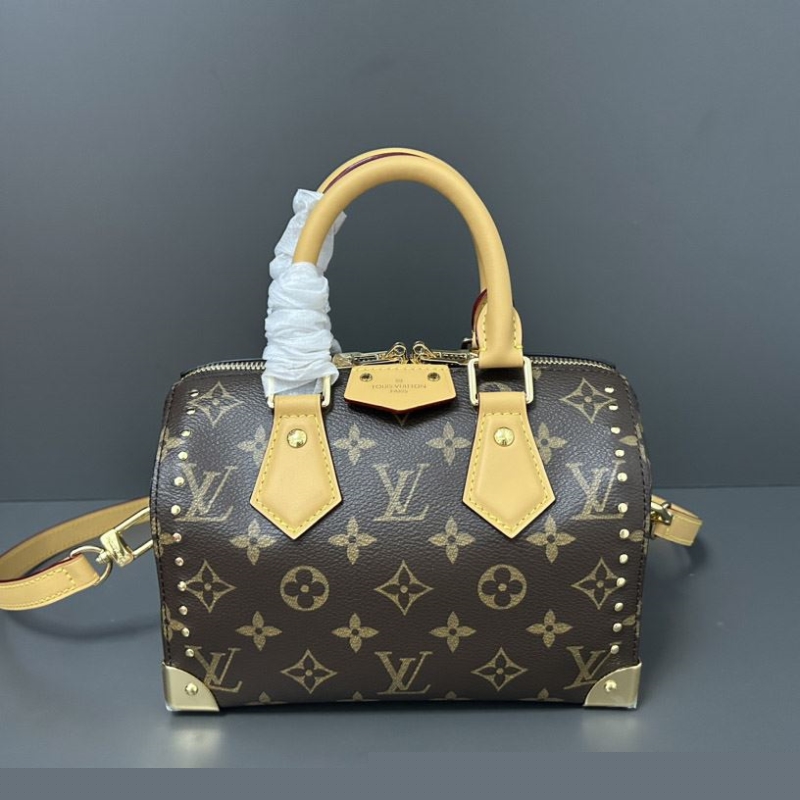 LV Speedy Bags